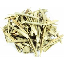 Sprout Store Zeytin Yaprağı - 1 kg