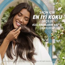 Esmo Home Herbal Essences Elixir Fas Argan Saç Bakım Yağı 95 ml