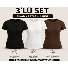 MEYMERS 3’lü Kadın Basic Tişört Seti Slim Fit Esnek Kumaş Günlük Kullanım (Fırsat Seti)