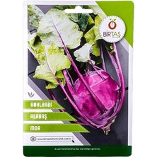 Sprout Store Mor Turp Tohumu