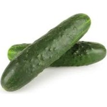 Misda Store Organik Alman Hıyarı Tohumu 1 Paket (10 GR=300+ Adet) Dikenli Alman Salatalık Tohumu
