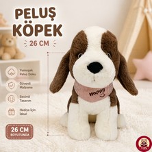 Giffy Oyuncak Peluş Kedi Köpek 26 cm Uyku ve Oyun Arkadaşı Yumuşak Hediyelik Sevimli Bebek Yastığı Sevgili Hediyesi