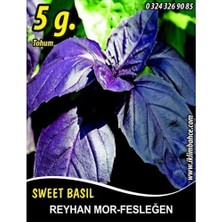 Sprout Store Tohumu Fesleğen Mor Renk - 5g (~ Takribi 1750 Tohum)