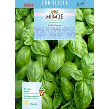 Sprout Store Yapraklı Genovese Fesleğen (250 Tohum)