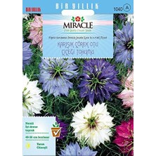 Sprout Store Renkli Çörek Otu Çiçeği (100 Tohum)