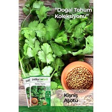 Lidyahan Store Adet Yerli Ata Kişniş Tohumu (Aşotu)