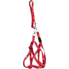 Alvera Collection Kedi Köpek Göğüs Tasması Kırmızı