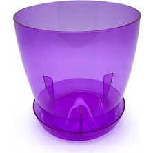 Lidyahan Store Orkide Saksı Tabağı Seffaf-Mor 3lt