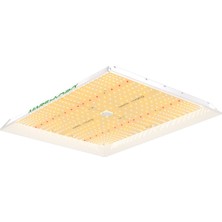 Mars Hydro TSW2000 300W LED Bitki Yetiştirme Lambası