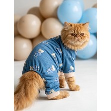 Kemique Teddy Blues Penye Kedi Tulumu | Ayıcık Desenli Kedi Pijaması | Küçük Irklar Için