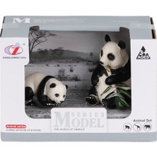 Alvera Collection Q9899-A27 Panda Ailesi-Birliktoys
