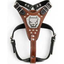 Alvera Collection Köpek Tasması