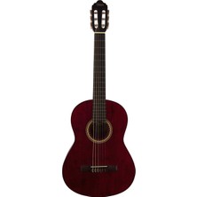 Valencia VC204TWR 4/4 Tam Boy Klasik Gitar | Şeffaf Şarap Kırmızı Renk, Mat Bitiş, Yetişkin Eğitim ve Başlangıç Seviyesi