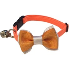 Alvera Collection Papyonlu Boyun Tasması Turuncu