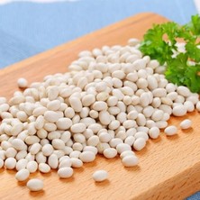 Lidyahan Store Doğal Ispir Fasulye Tohumu 50 Adet Tohum