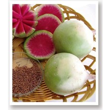 Lidyahan Store Doğal Beyaz-Kırmızı Turp Çelebi 500 Adet Tohum