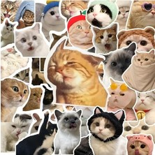 CetKing Çılgın Kedi Sticker Set Laptop Notebook Tablet Sticker Seti