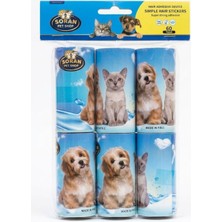 Alvera Collection 6 Lı Tüy Toplama Tulosu