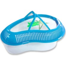 Alvera Collection Kapaklı Kaplumbağa Bahçesi Mavi