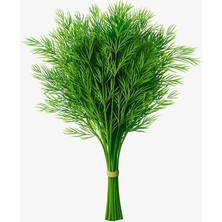 Lidyahan Store Garden Doğal Dereotu Tohumu 1000 Ad. Tohum