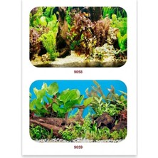 Alvera Collection Akvaryum Arka Plan Posteri 40 cm