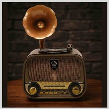 Menuzer Nostaljik Ahşap Radyo Bluetooth Hoparlör Usb-Sd Kart Mp3 Çalar 3 Band Fm/am/sw Şarjlı Müzik Kutusu