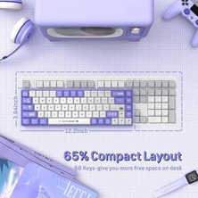 Ajazz AK680 65% Kablolu Hotswap Mekanik Oyun Klavyesi,68 Tuşlu Taşınabilir Anti-Ghosting Klavye,gökkuşağı Arkadan Aydınlatmalı Programlanabilir,eva Sandviç,ergonomik Mor Beyaz/brown Switch
