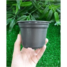 Saksı 20 Adet 9x7 cm 0,29 Lt Plastik Saksı Ucuz Saksı Fide Üretim Saksısı