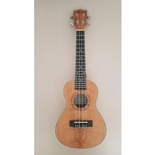Ukulele 23" Concert AU77LAB-23, Ukulele 23" Concert