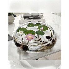 Magarsus 15 Adet Tohum Mucize Kutsal Lotus Su Çiçeği Tohumu Organik Nilüfer Çiçekler