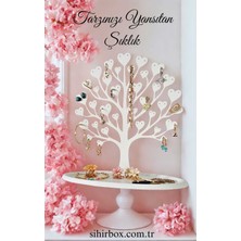 Özgürce Pratik ve Şık Takı Düzenleyici, Düzenli ve Erişimi Kolay Tasarım