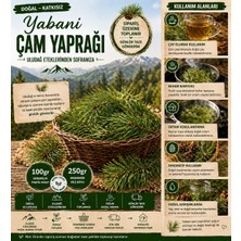Macc Doğal Çam Yaprağı 100 gr / 250 gr | Uludağ Eteklerinden Taze Toplanır | Katkısız Aromatik Çam Iğnesi