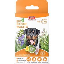 Bio Petactive