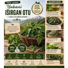 Macc Doğal Isırgan Otu 100 gr / 250 gr | Uludağ Eteklerinden Taze Toplanır | Katkısız Yabani Isırgan