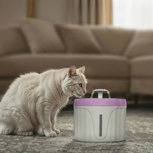 Joypet Su Pınarı