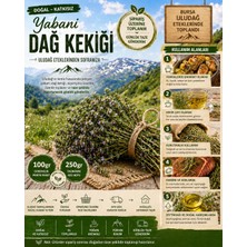 Macc Yabani Dağ Kekiği 100 gr / 250 gr | Uludağ Eteklerinden Taze Toplanır | Doğal Katkısız Aromatik Kekik