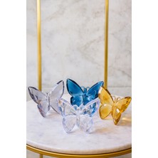 Özgürce Renkli Dekoratif Kelebek Aksesuar Seti - 4'lü, Şık ve Zarif Tasarım