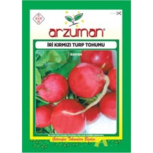 Arzuman Iri Kırmızı Turp Tohumu 10 gr