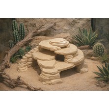 Merdivenli Sürüngen Mağarası