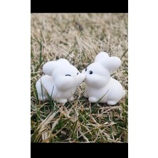 Özgürce Sevimli Tavşanlar Mini Dekoratif Obje, Araba Süsü ve Anahtarlık Seti