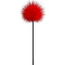 Candy Women Gıdıklayıcı Masaj Tüyü Aksesuar