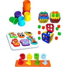 Toysnet 4lü Eğitici Geliştirici Oyuncak Seti Sevimli Hayvanlar Bultak ile Geometrik Şekiller