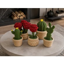 The Shogun Bloomcactus 5’li Dekoratif Saklama Kabı Seti