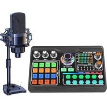 Podcast Mikrofon Ses Kartı Kiti Pc Smartphone Dizüstü Bilgisayar Içiin Vlog Kayıt Canlı Akışı Youtuber Yayıncılara Uygun P300 (P300)