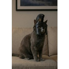Lades Sparta Kedi Başlığı