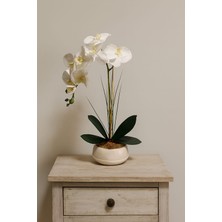Maki Dekor Dekoratif Modern Saksıda Islak Dokulu Yapay Orkide Çiçeği