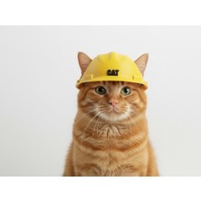 Lades Cat Inşaat Kedi Kaskı