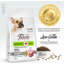 Felicia Yetişkin Köpek Maması Kuzulu  Küçük ve Orta Boy Irklara Uygun Formda 3 kg