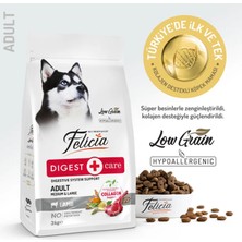 Felicia Yetişkin Köpek Maması Kuzulu  Orta ve Büyük Irklara Uygun Formda 3 kg