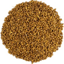 SHC4200 Süpürge 1kg